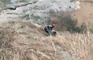 Dağda mahsur kalan köpeğin imdadına itfaiye ekipleri...
