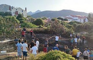 Datça’daki makilik yangını büyümeden söndürüldü