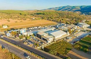 Denizden döviz çıktı