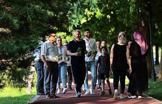 Denizli’de 40 bin fesleğen dağıtıldı