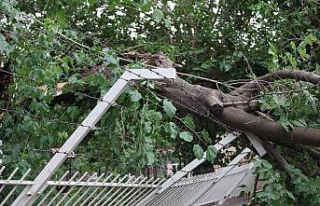 Denizli’ye kuvvetli rüzgar ve fırtına uyarısı