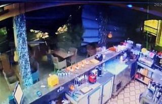Dev çam ağacı kafenin üstüne böyle devrildi