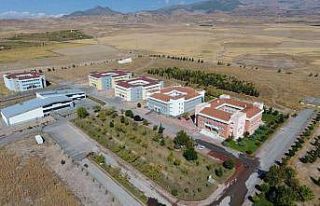 Develi yöresinde yetişen Gacer ata buğdayı ’Develi...