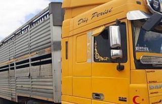 Didim’deki hayvan hırsızlığına adı karışan...