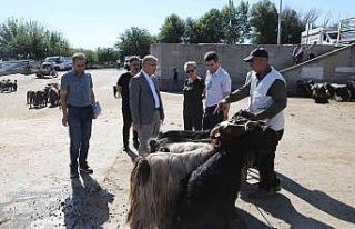 Diyarbakır’da kurbanlık satış ve kesim yerleri...