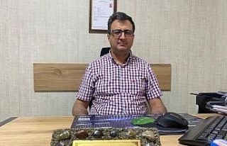 Doç. Dr. Balıbey: "Sınava bilgi olarak iyi...