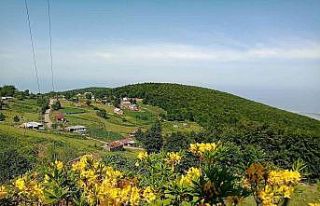 Doğaseverler ’Kocadağ Şenliği’nde buluşacak