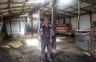 Dolandırılan çiftçinin elinde sadece boş ahırları...