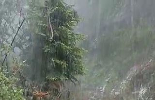 Dolu yağışı orman işçilerine zor anlar yaşattı