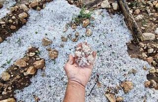 Dolu yağışı sonrası her yer beyaza büründü