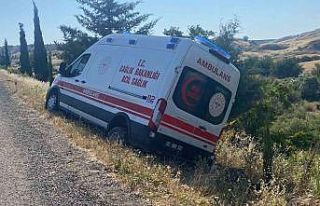 Domuza çarpmamak isterken şarampole çıktı