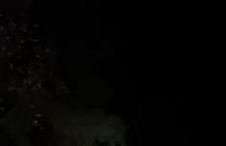 Domuzun saldırısından kıl payı kurtuldu