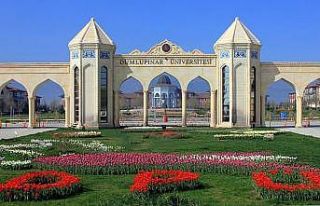 DPÜ bir kez daha THE sıralamasına girdi