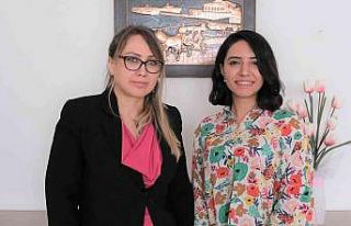 Ebeler çevrim içi sağlık hizmeti sunacak
