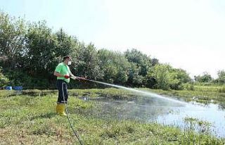 Efeler Belediyesi ilaçlama çalışmalarına hız...