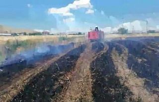 Elazığ’da 12 dönüm ekili alan kül oldu