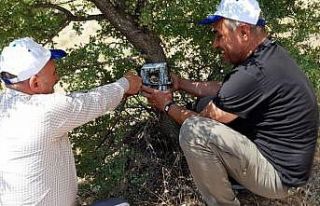 Elazığ’da fotokapanların bakımı yapıldı