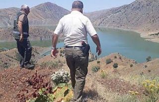 Elazığ’da kaçak avcılığın önlenmesi için...