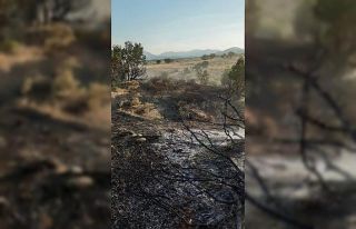 Elazığ’da ormanlık alanda çıkan yangın büyümeden...