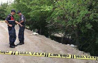 Elazığ’da tarla sulama kavgası: 5 yaralı