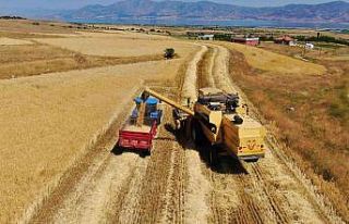 Elazığ’da yılın ilk arpa hasadı gerçekleştirildi