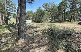 Elektrik akımına kapılan genç hayatını kaybetti