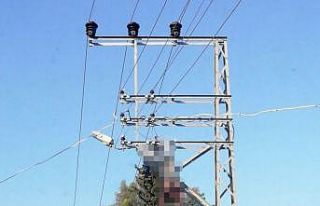 Elektrik direğinde akıma kapılarak hayatını kaybetti