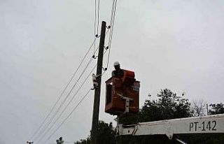 Elektrik direğinde mahsur kalan kedi, ekiplerden...