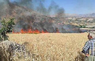 Elektrik direğinden çıkan kıvılcım 1 yıllık...