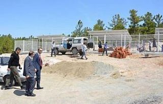 Emet Belediyesinden geçici hayvan barınağı