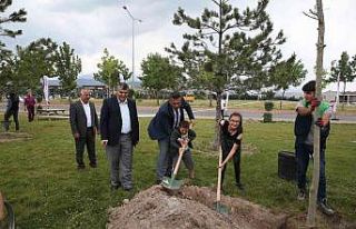 Engelsiz Yaşam Merkezi’nde 200 fidan toprakla buluşturuldu