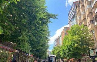 Eskişehir’i ıhlamur kokusu sardı