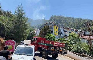 Fethiye ve Seydikemer’de çıkan orman yangınları...