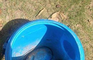 Fethiye’de itfaiyeden yılan yakalama operasyonu