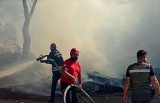 Fırında çıkan yangın, makilik alana sıçradı