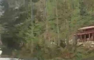 Fotoğraf çekerken dereye düşen turist kayboldu