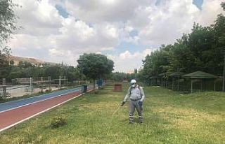 Gaziantep’te kene timi