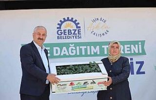 Gebzeli çiftçilere fide desteği