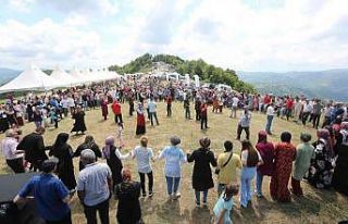 Geleneksel Çilek-Kiraz Festivali