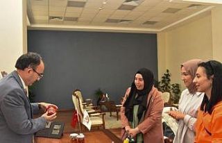 Geleneksel ürünlerin etkin ve verimli kullanılması...