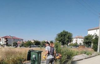 Genel temizlik çalışmaları devam ediyor