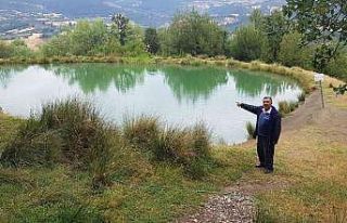 Gurbetçi kadın gölette ölü bulundu