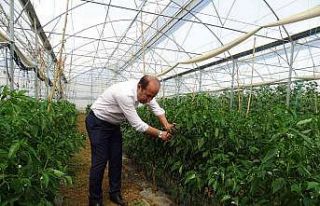 Hasat vaktinde çiftçiler yalnız bırakılmıyor