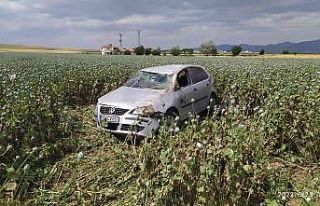 Haşhaş tarlasına devrilen otomobilin sürücüsü...