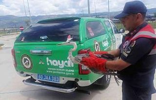 Havaalanında bulundu tedavi altına alındı