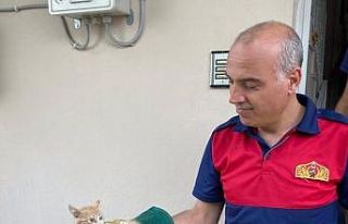 Havalandırma boşluğundaki kedi kurtarıldı