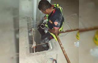 Havalandırma boşluğunu düşen yavru kediler kurtarıldı