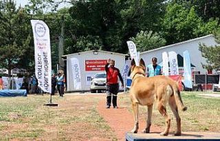 Hayat kurtaran altın burunların zorlu sınavı