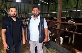 Hayvan dolandırıcılığına dikkat