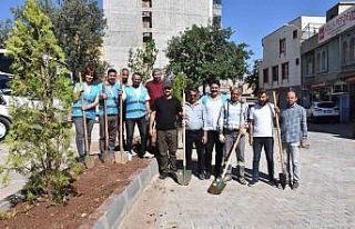 Hayvan severler çevre gününde ağaç dikti